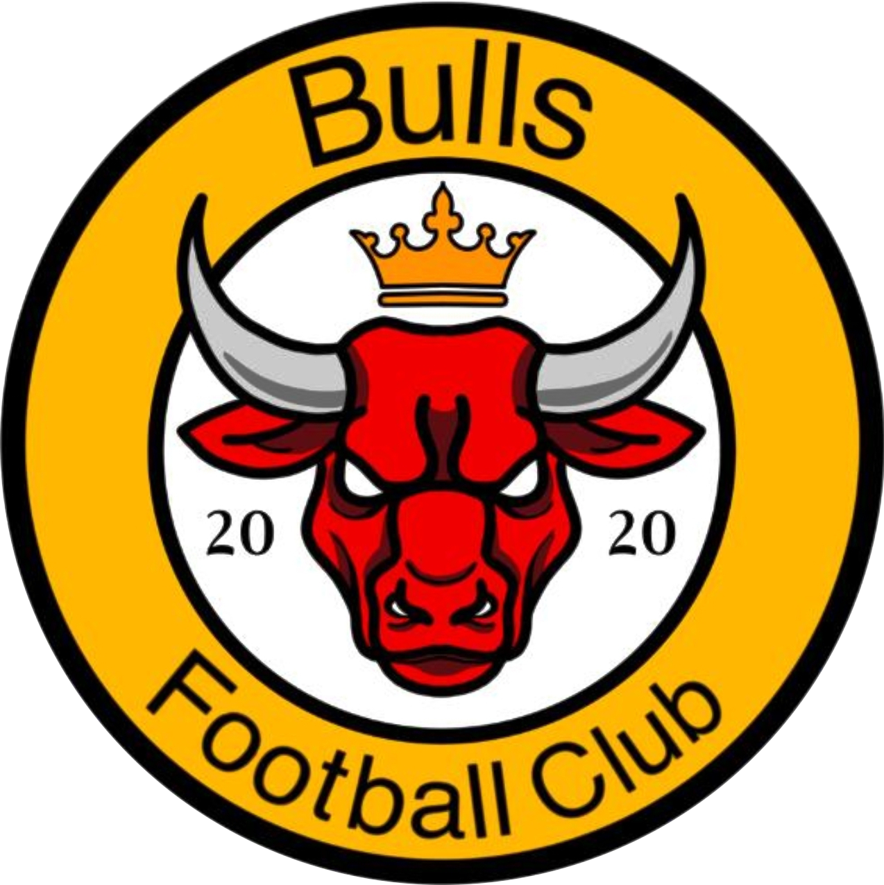 Bulls 2022 s1