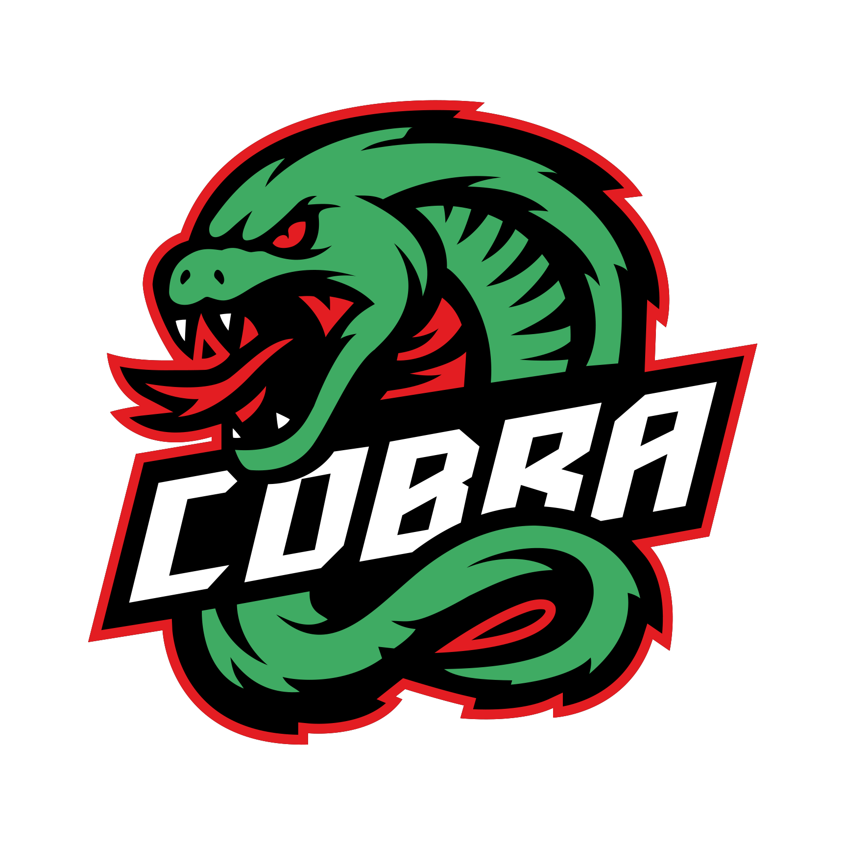 Cobra FC 2023 s2